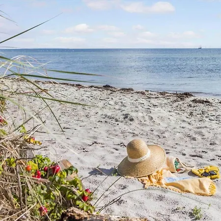 بيت للعطل 30563-odder-spongsvej-12-b *